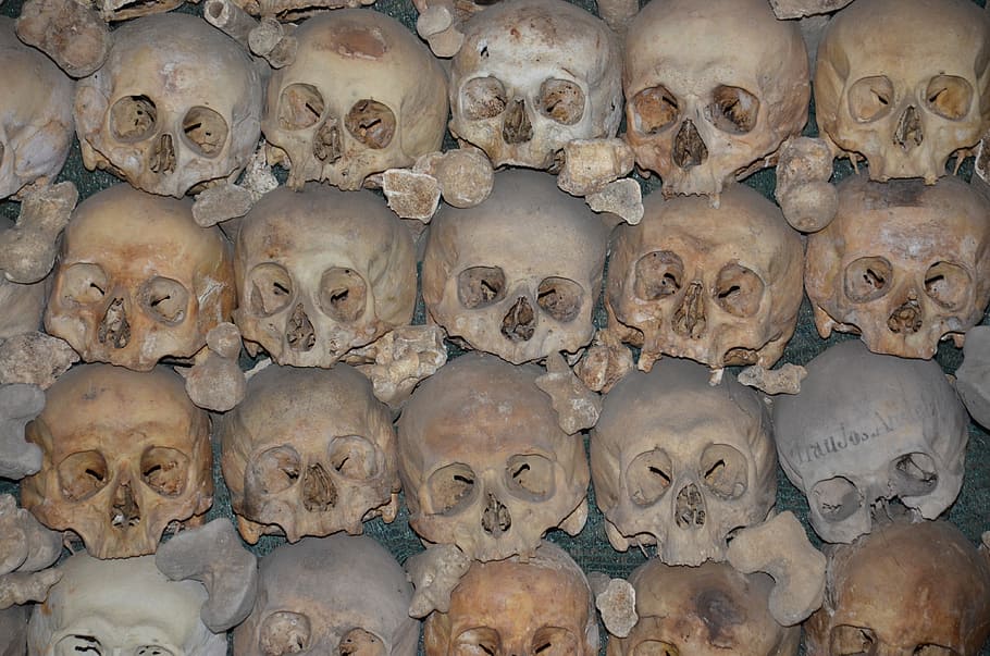 charnel house, skull, bone, skeleton, stans, history, large group of objects HD wallpaper