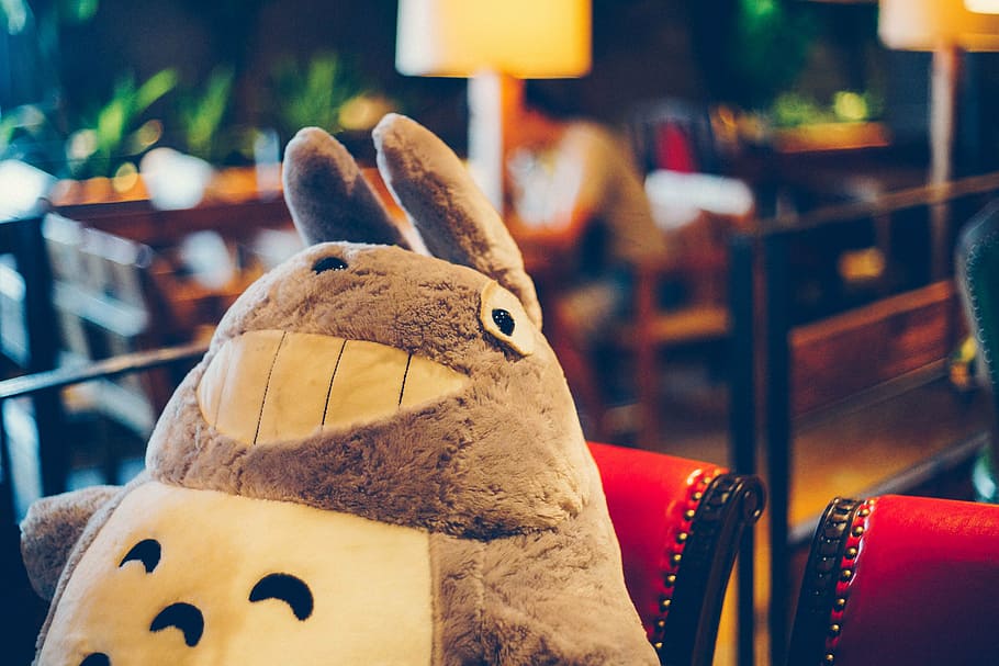 cafe, toys, plush toys, chinchillas, animal, focus on foreground, HD wallpaper