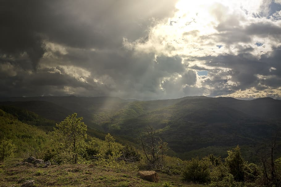 fields, country, sunrays, landscape, nature, sky, clouds, trees HD wallpaper