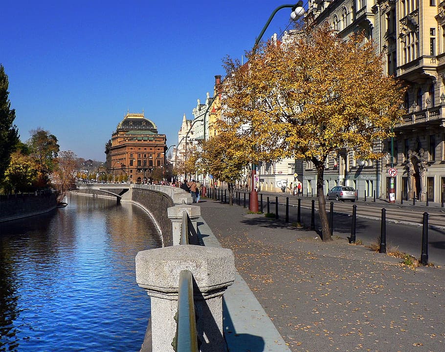 gray concrete fence, path, pavement, autumn, trees, river, vltava HD wallpaper