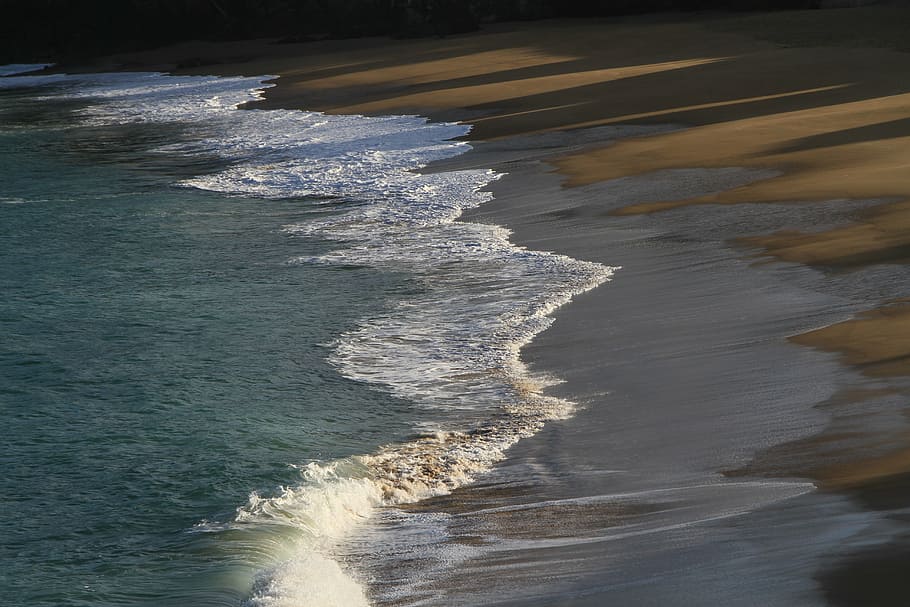 elements, wind, water, sand, movement, sea, beach, wave, nature HD wallpaper