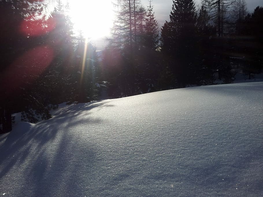 Winter, Sun, Snow, Wintry, Back Light, winter sun, snowy, winter magic HD wallpaper