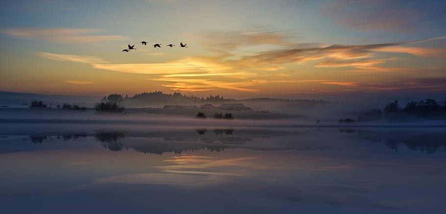 silhouette of birds flying above body of water, six flying birds above lake under cloudy sky HD wallpaper
