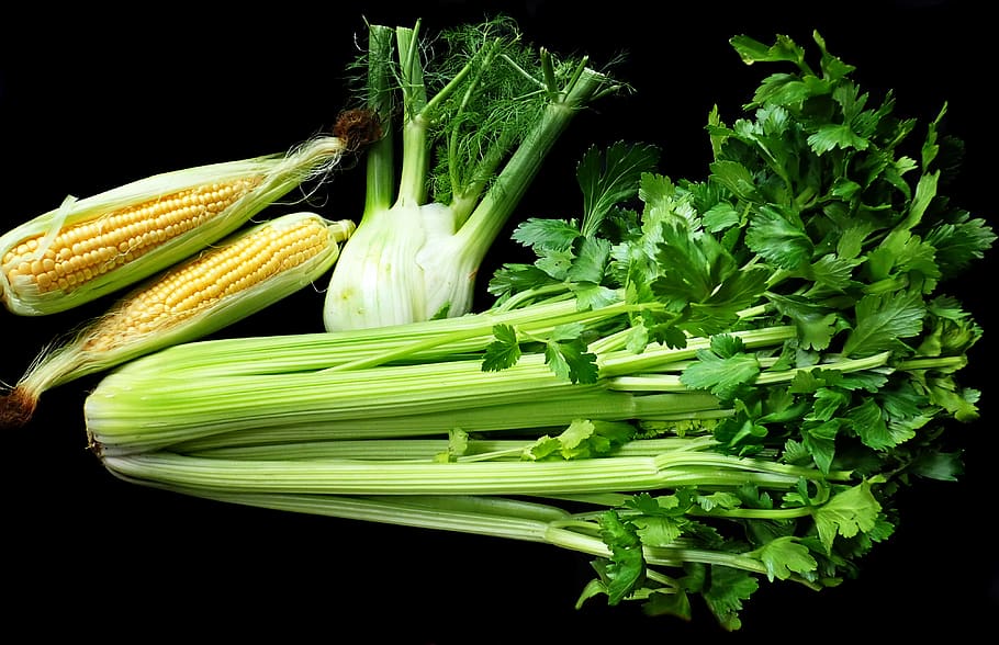 vegetables, celery, fennel, corn, fresh, vegetarian, cooking, HD wallpaper