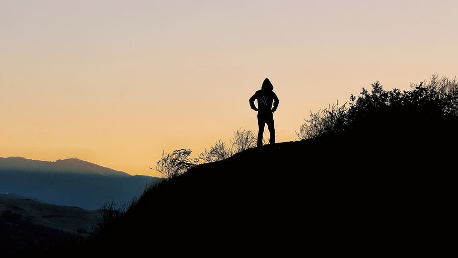 people, man, alone, silhouette, sky, sunrise, sunset, trees, HD wallpaper