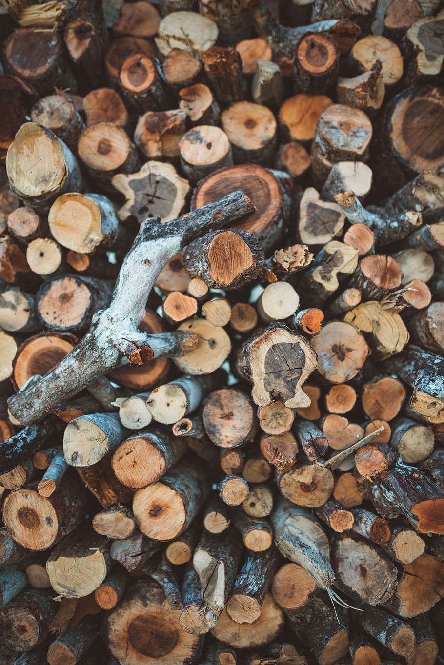 Fire Up, aerial photograph of cordwood, trunk, stick, tree, pattern HD wallpaper
