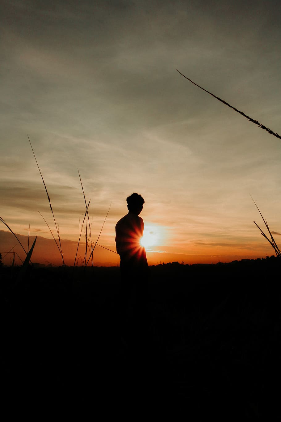 silhouette of person near grass at golden hour, man standing on grass field