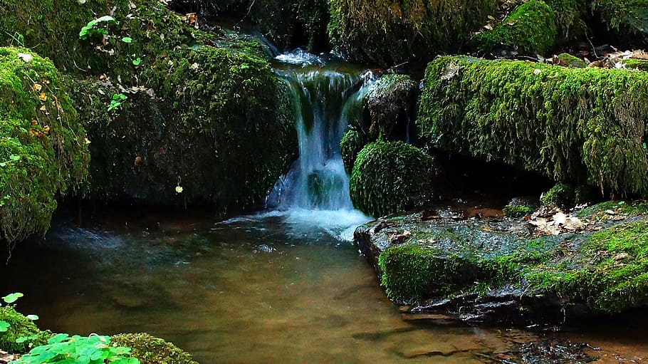 creek, small waterfall, small stream, beauty in nature, plant, HD wallpaper