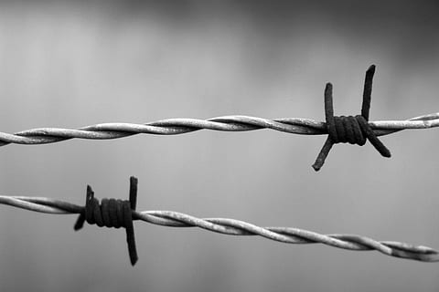 grayscale photo of barbed wires, rust, rusty, bound, twisted HD wallpaper