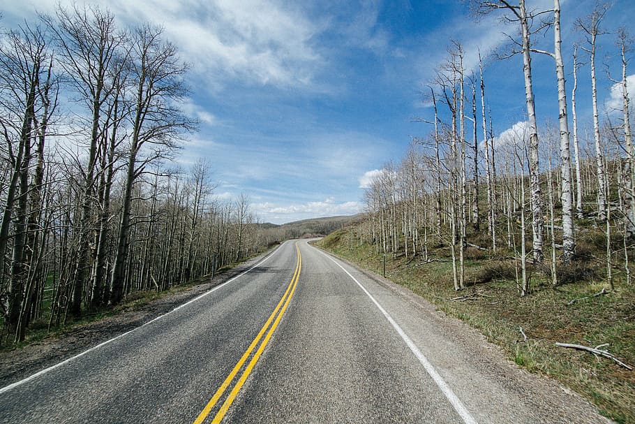 rural, road, pavement, trees, blue, sky, nature, woods, the way forward HD wallpaper