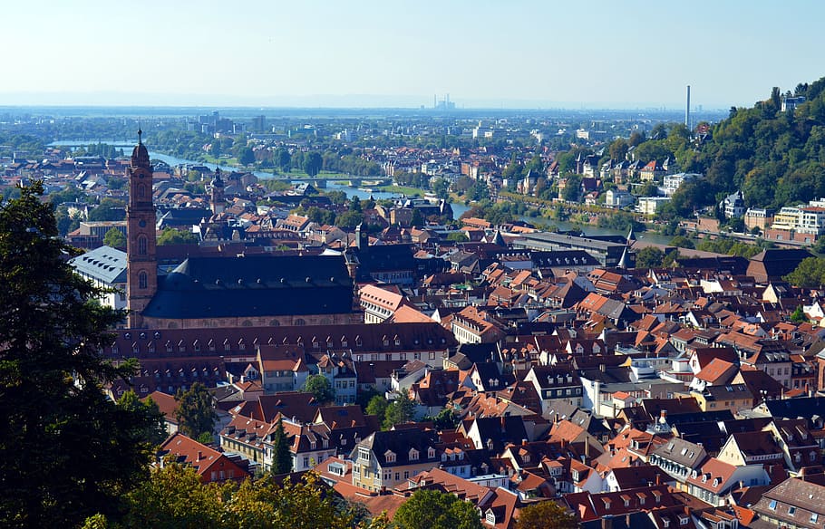 Heidelberg, City, Historically, historical city, neckar, panorama, HD wallpaper