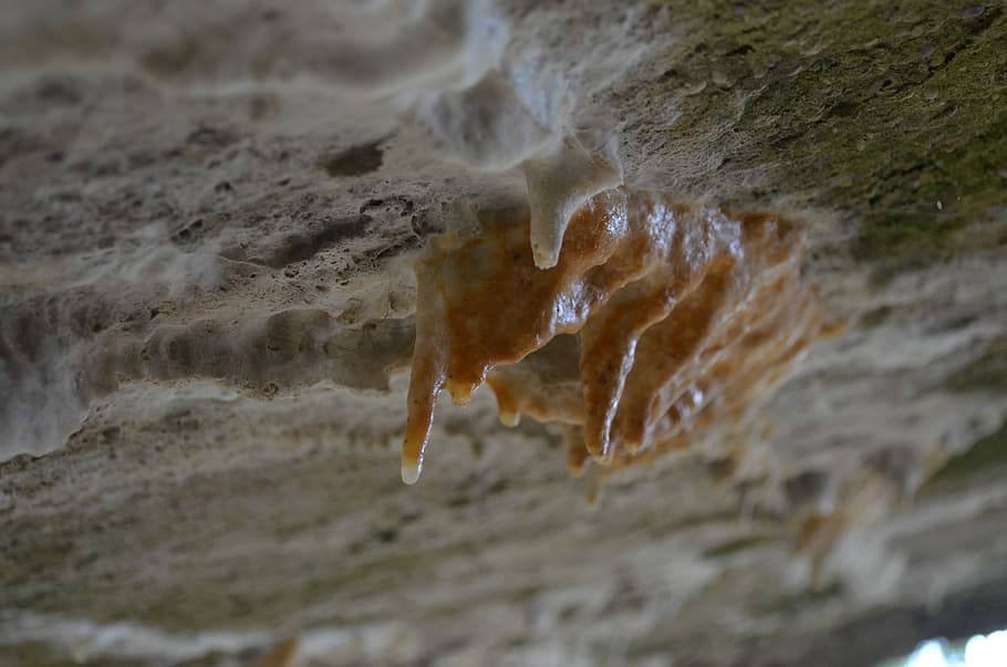 stalactites, stone, grey, drip, erosion, water, no people, close-up HD wallpaper