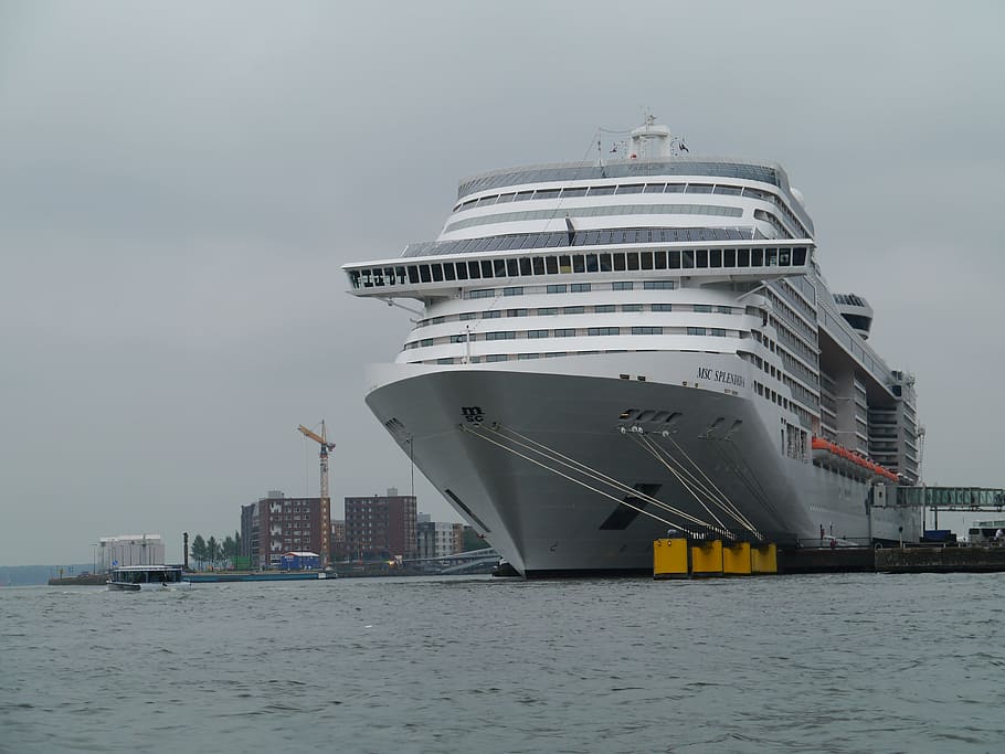 HD wallpaper: cruise ship, amsterdam, port, gigantic, large, ozeanriese ...