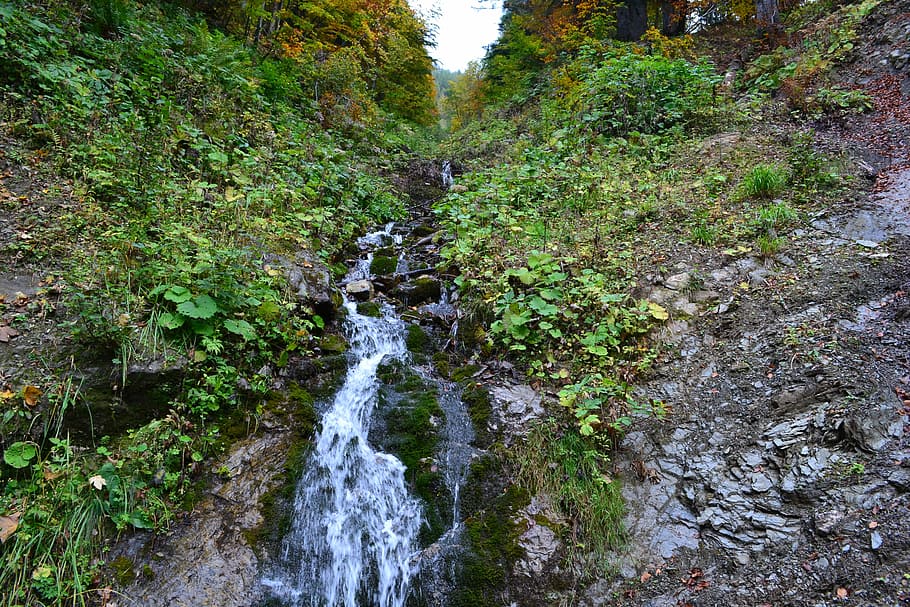 Bach, Trickle, Nature, Forest, water running, murmur, brook HD wallpaper