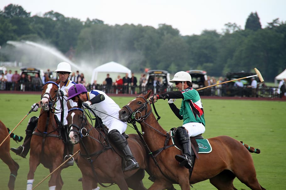 polo, horses, players, equestrian, sport, competition, equine, HD wallpaper