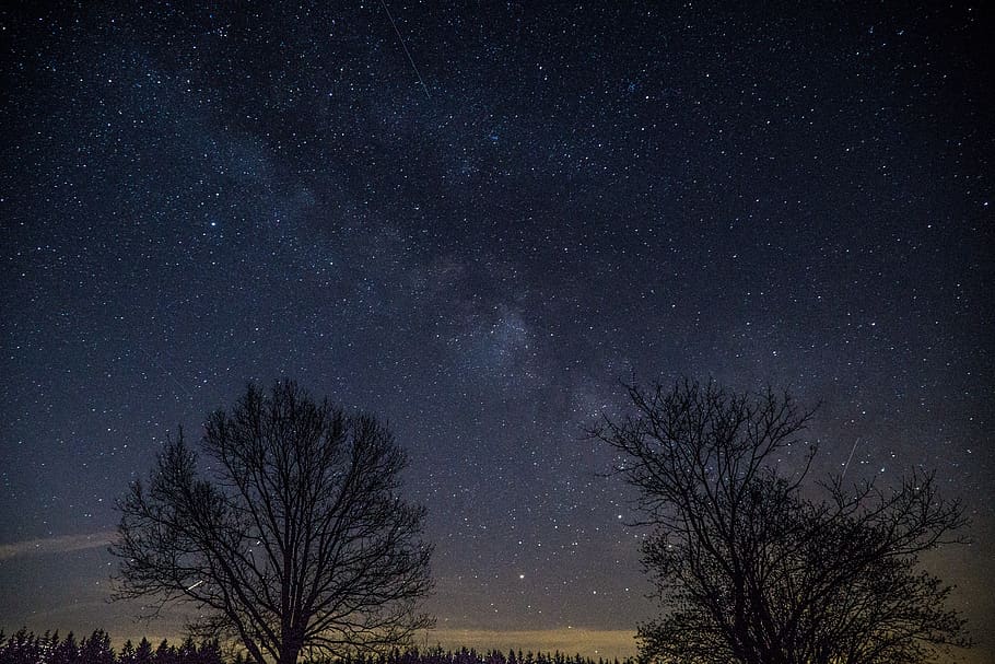 tree, landscape, sky, nature, panoramic, dark, moon, milky way HD wallpaper