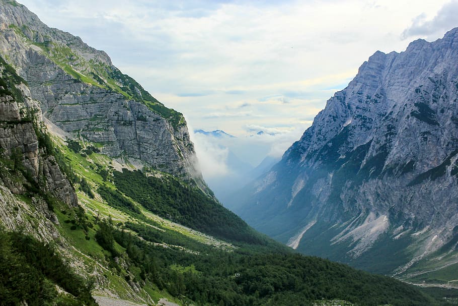 forest covered mountains during daytime, rock formations covered with trees at daytime HD wallpaper