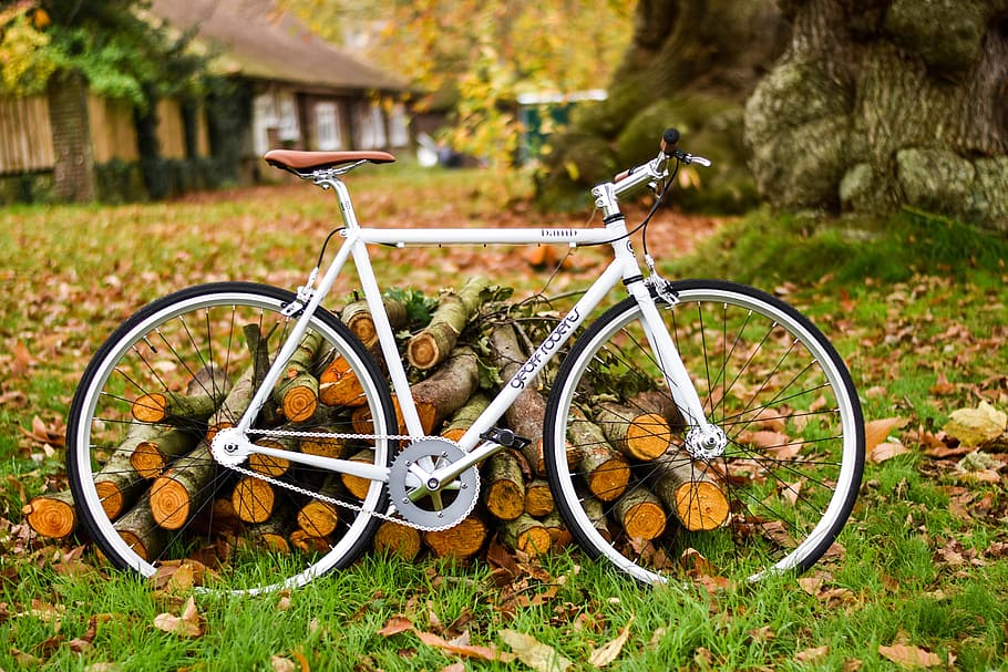landscape photography of white fixed-gear bike, white road bike beside firewood