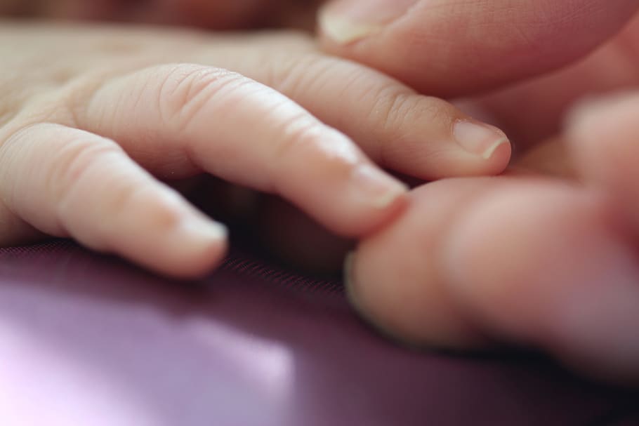 macro shot photography of baby's arm, hands, holding, bond HD wallpaper