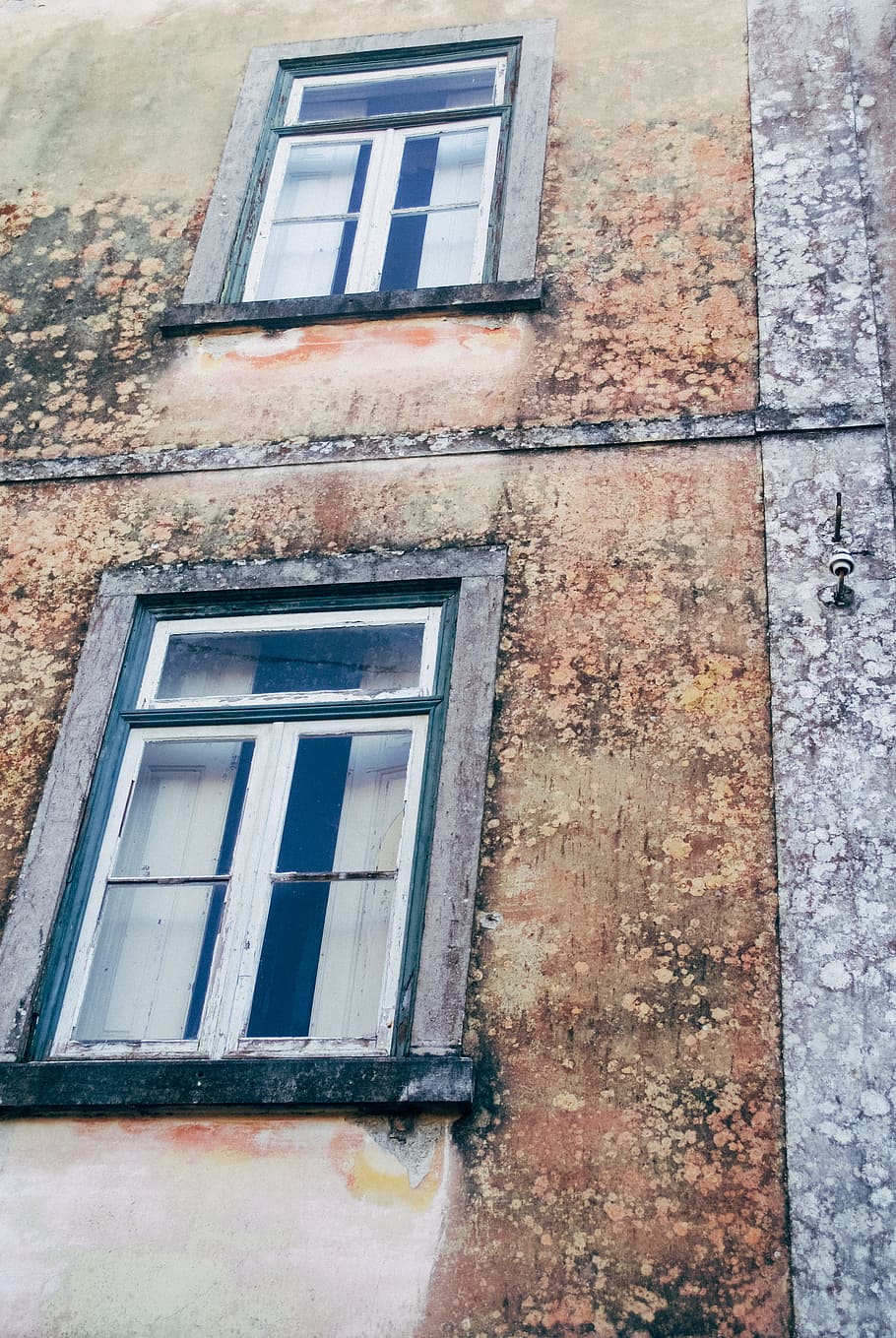Two windows on a wall, architecture and Cityscape, old, building Exterior HD wallpaper