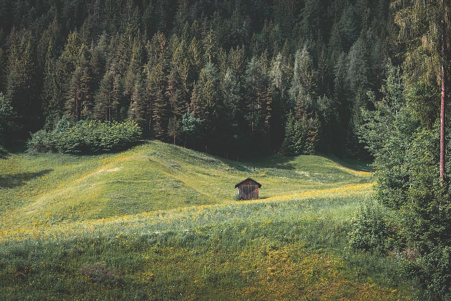 green grass field, brown house in the middle of grass field, smooth HD wallpaper
