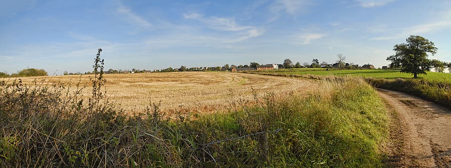 nature, panoramic, landscape, field, sky, summer, rural, agriculture HD wallpaper