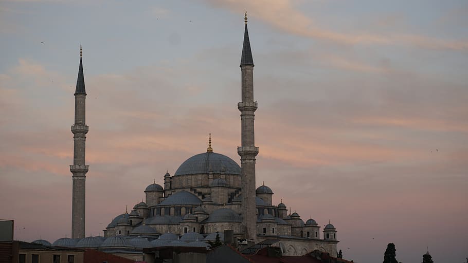 fatih mosque, istanbul, masjid, architecture, built structure