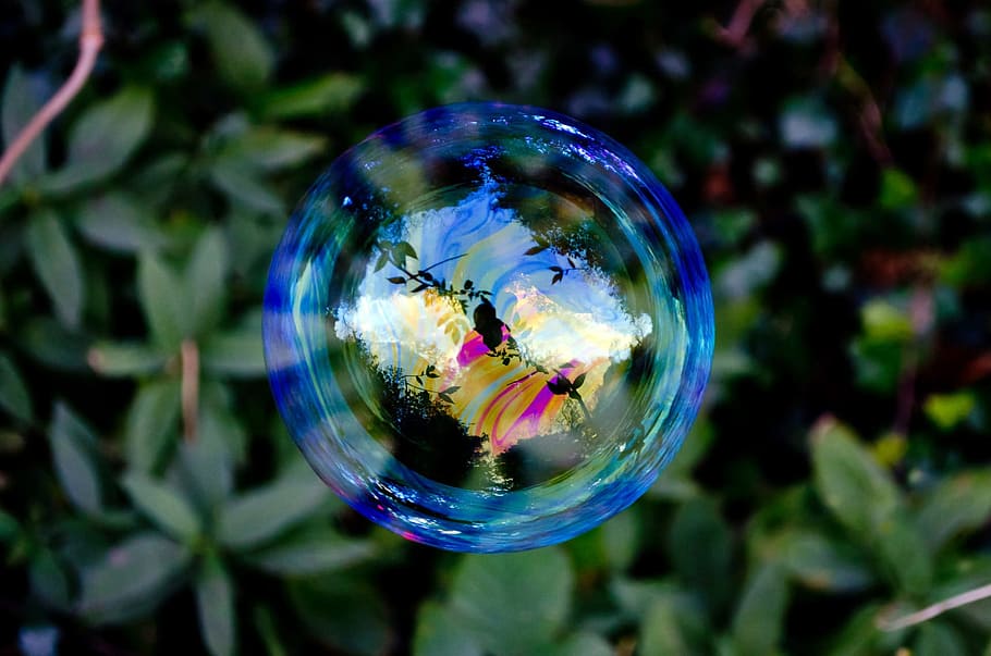 selective photography floating bubble near green leaves, blue HD wallpaper