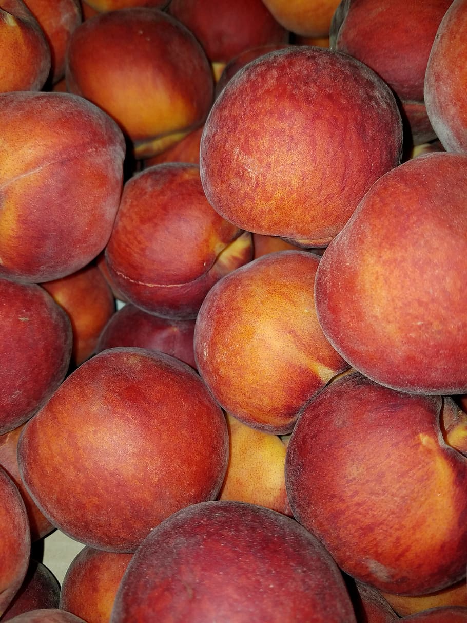 peach, peaches, elberta, fruit, food, fresh, healthy, juicy HD wallpaper