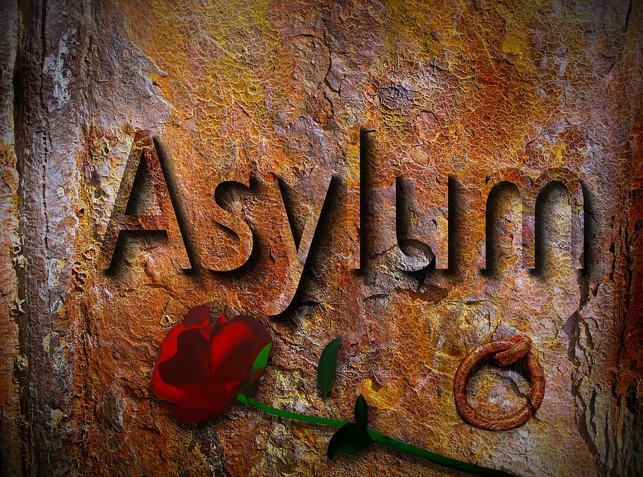 brown and beige background with rose overlay, asylum, refugees