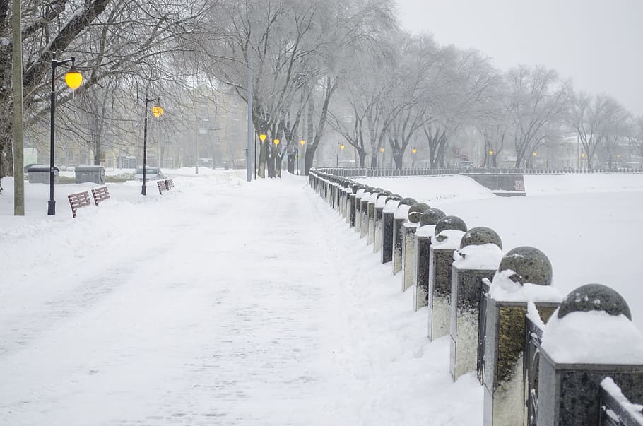 Winter, Quay, Railing, Snow, Ice, Lights, fog, trees, leann HD wallpaper