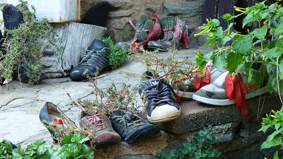 plants, shoes, old, one person, growth, nature, day, men, full length HD wallpaper