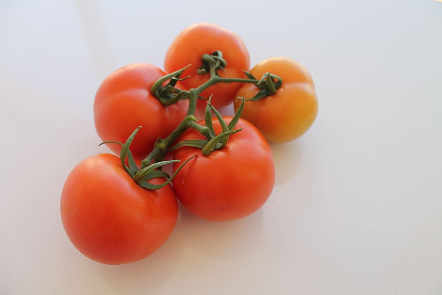 tomato, round, panicle, food and drink, healthy eating, freshness HD wallpaper