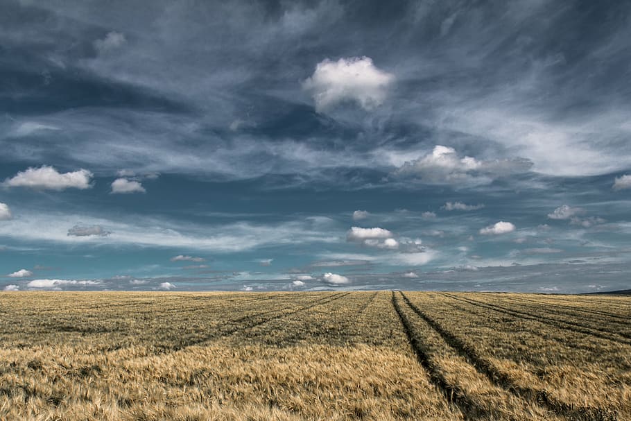 landscape photography of hay field, clouds, nature, agriculture HD wallpaper