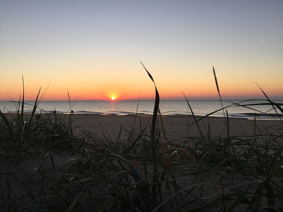 beach, dune, setting sun, coast, netherlands, sky, water, beauty in nature HD wallpaper