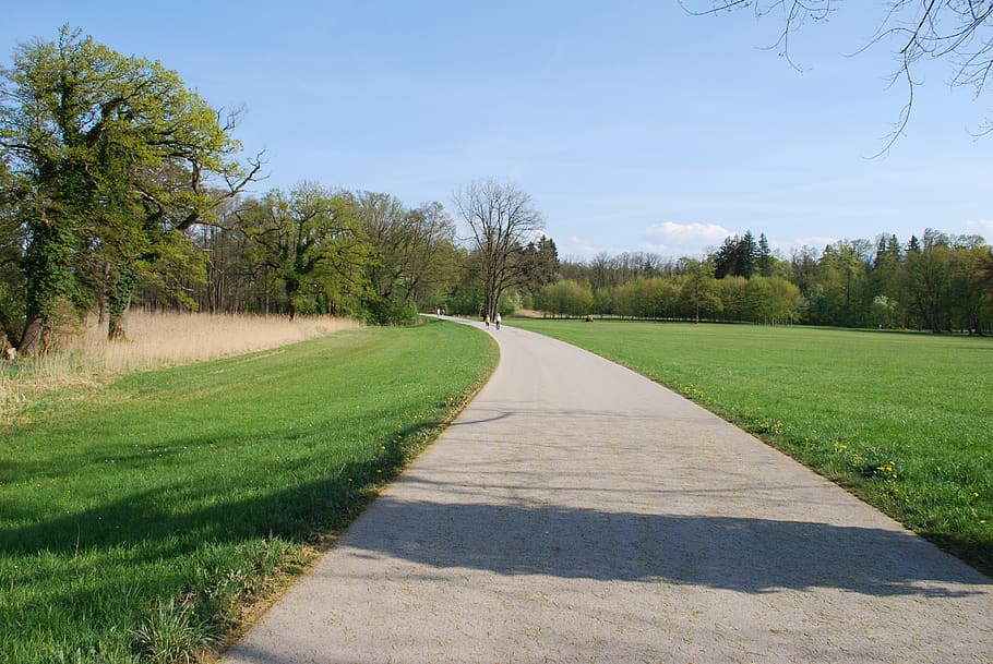 grass, tree, road, nature, landscape, instructions, summer HD wallpaper