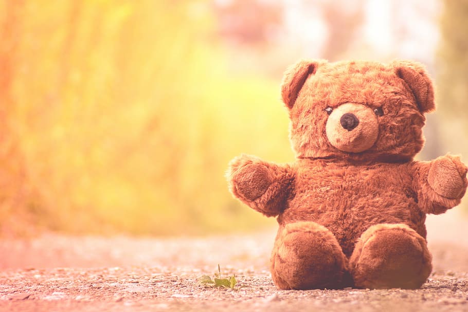 shallow focus photography of a bear plush toy, furry teddy bear, HD wallpaper
