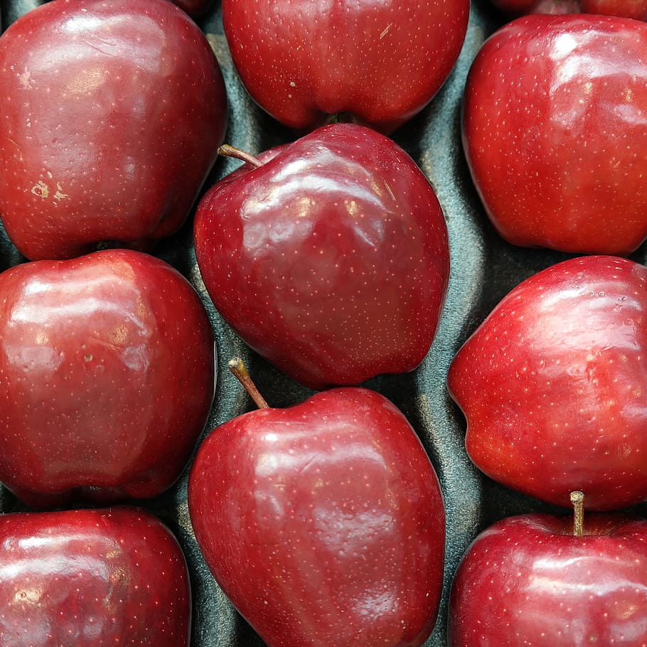 Fruit, Fresh, Red Apple, apples, food and drink, healthy eating HD wallpaper