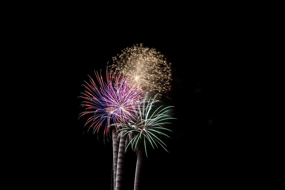 fireworks display wallpaper, independence, pyrotechnics, light HD wallpaper