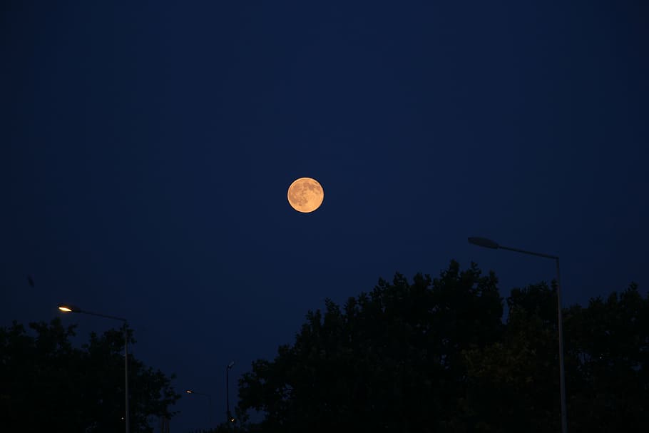 moon, dark, sky, night, light, night sky, black, blue, moonlight HD wallpaper