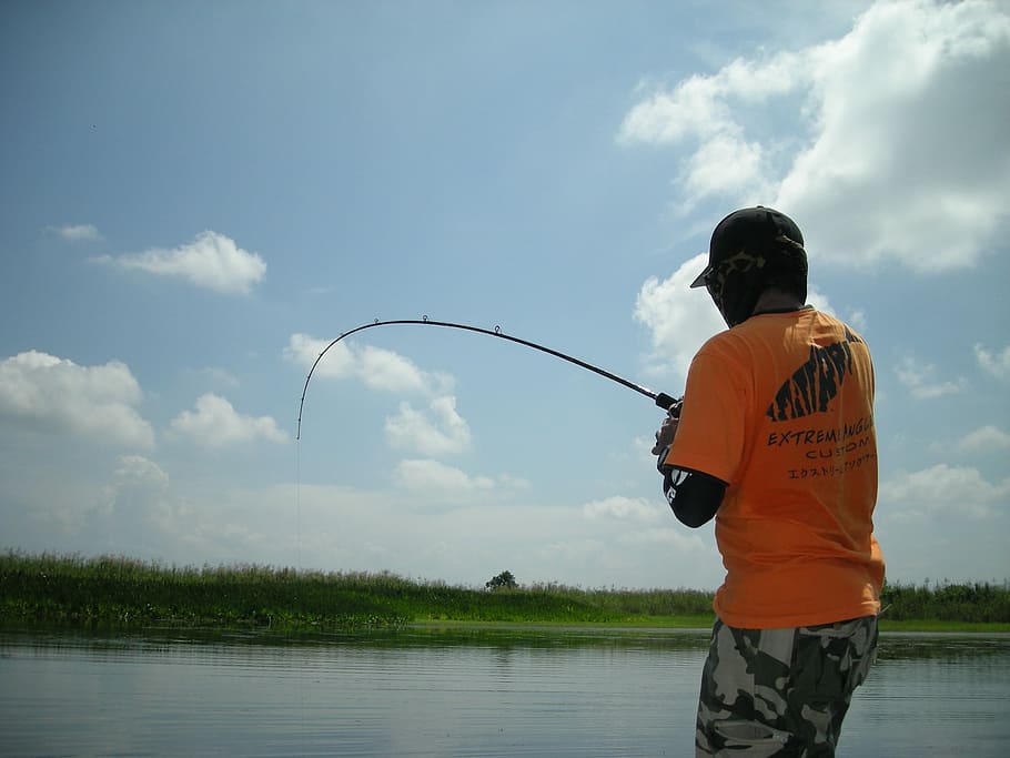 Angling, Fish, Catch, Hobby, Freshwater, angler, fishing, fisherman HD wallpaper
