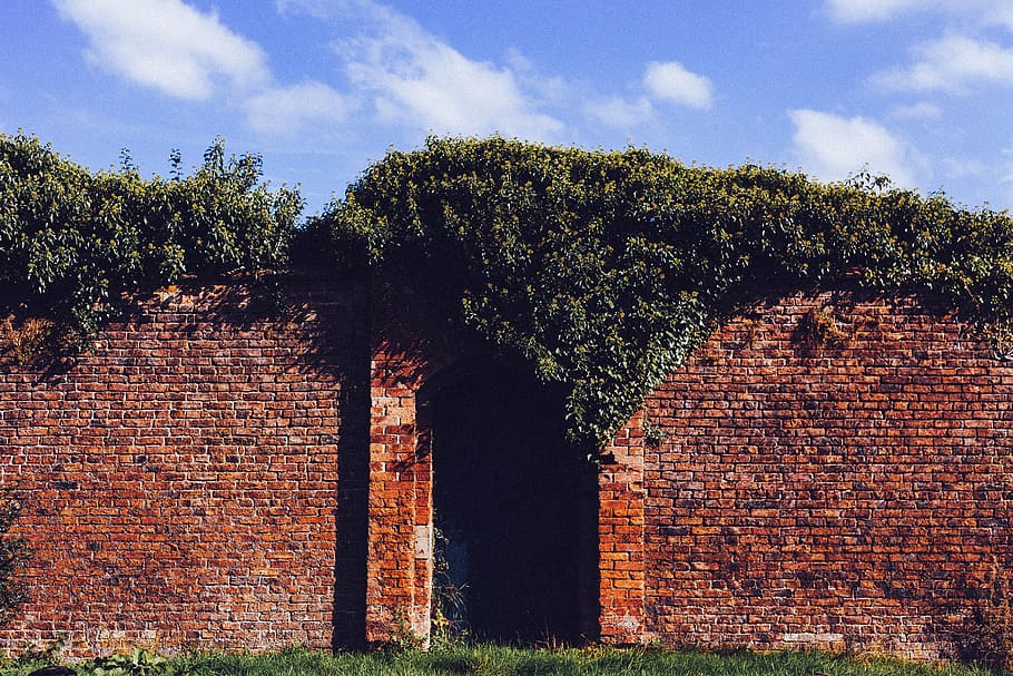 brickworks, bricks, wall, door, entry, tree, plant, sky, cloud - sky HD wallpaper
