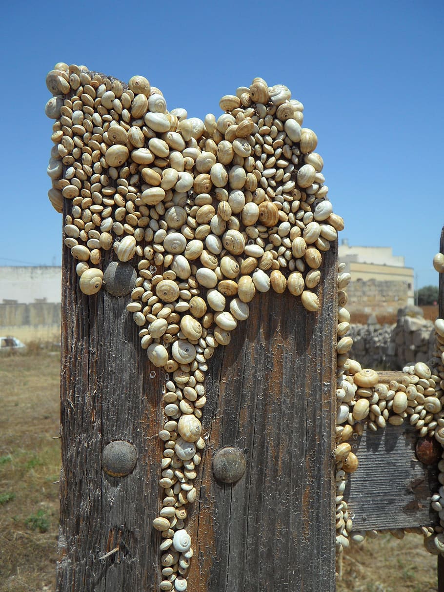 pebbles on wood plank, snails, snail shells, plage, snail plague HD wallpaper