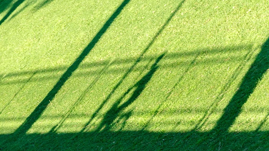 shadow, bike, hispanic, shadow play, meadow, sun, cycling, light HD wallpaper