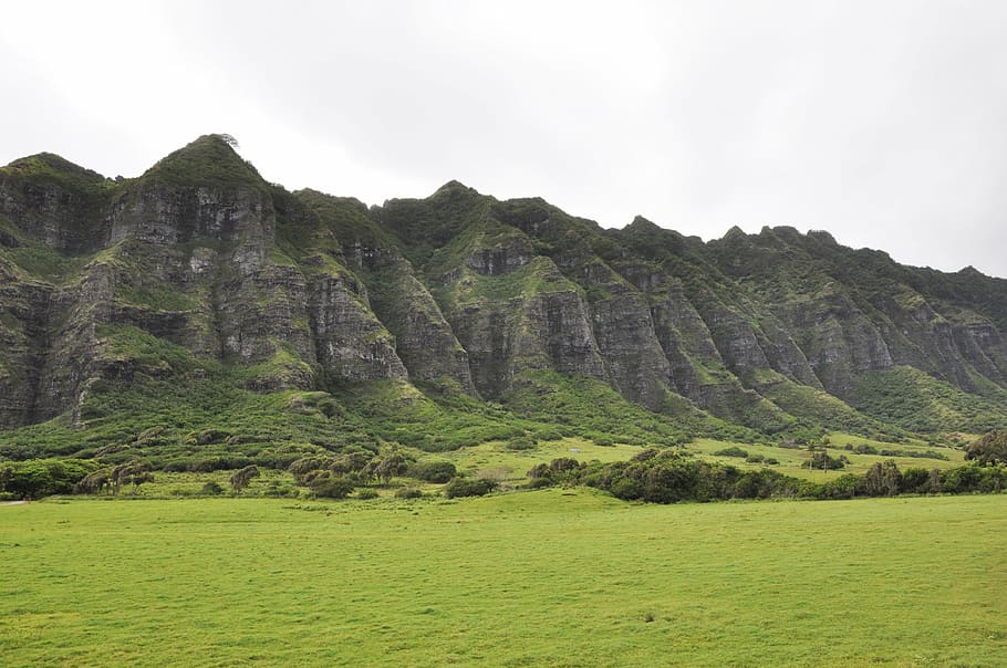 green grass field, hawaii, kualoa ranch, mountain, plant, beauty in nature