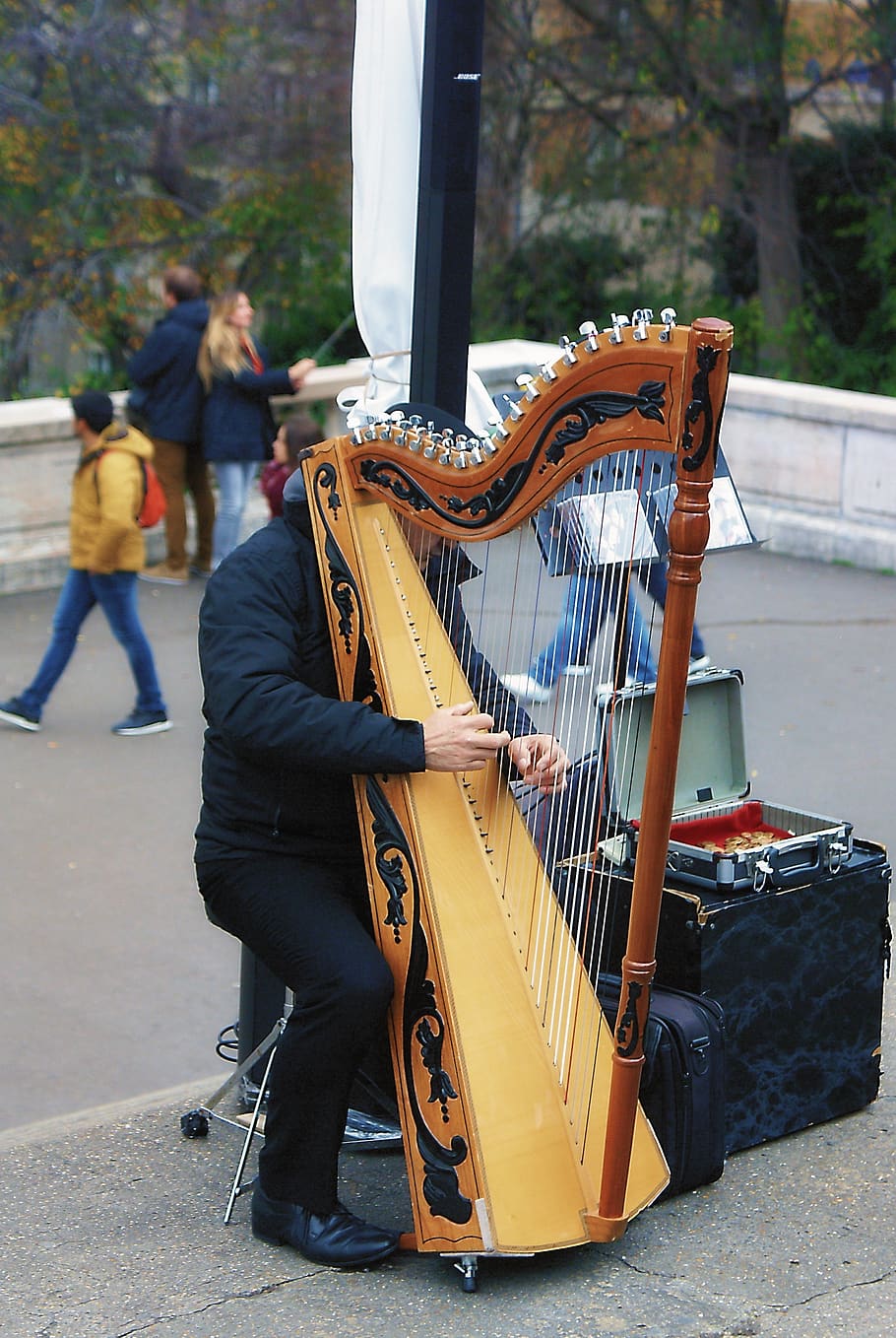 musical instrument, harp, street game, street artist, musician