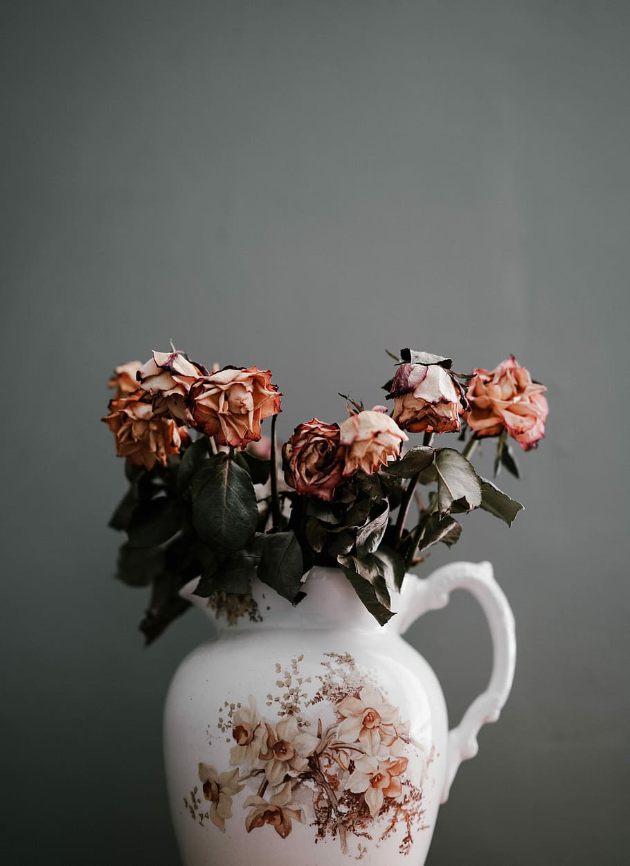 pink petaled flowers in vase, wilted pink roses on glass vase