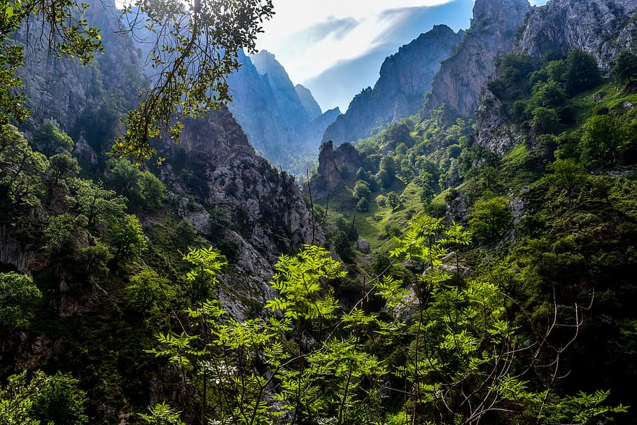 picos de europa, asturias, tourism, plant, beauty in nature, HD wallpaper
