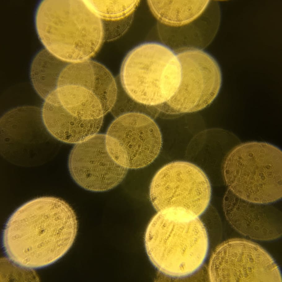 Lighting, Closeup, Light Chain, Yellow, healthcare and medicine HD wallpaper