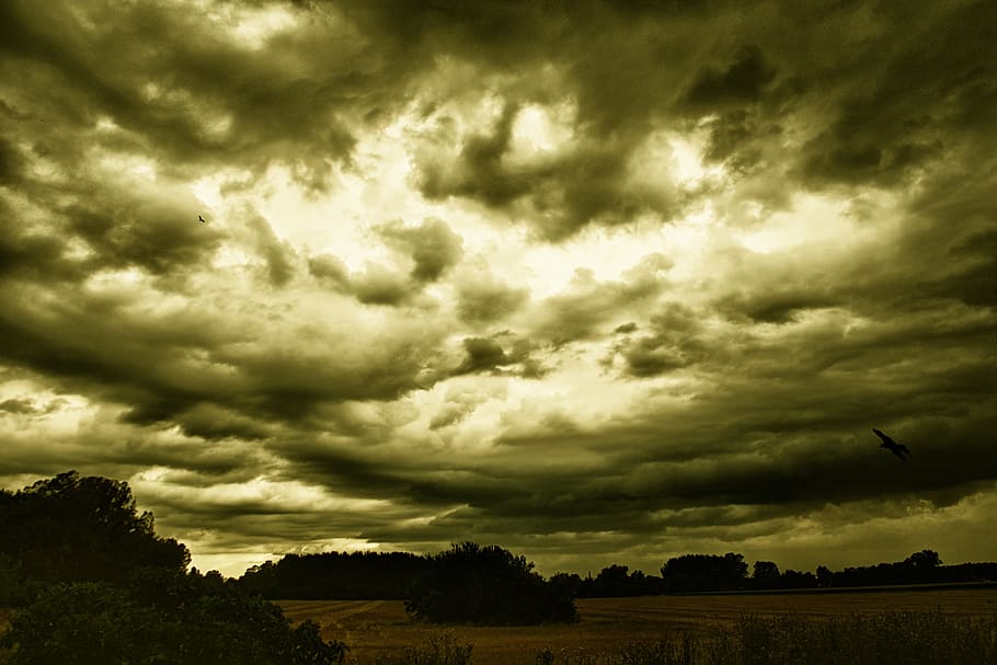 Storm, Clouds, Sky, Landscape, cloud - sky, storm cloud, dramatic sky HD wallpaper